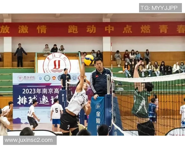 南京排球队配合变革引发热议新战术助力团队协作提升