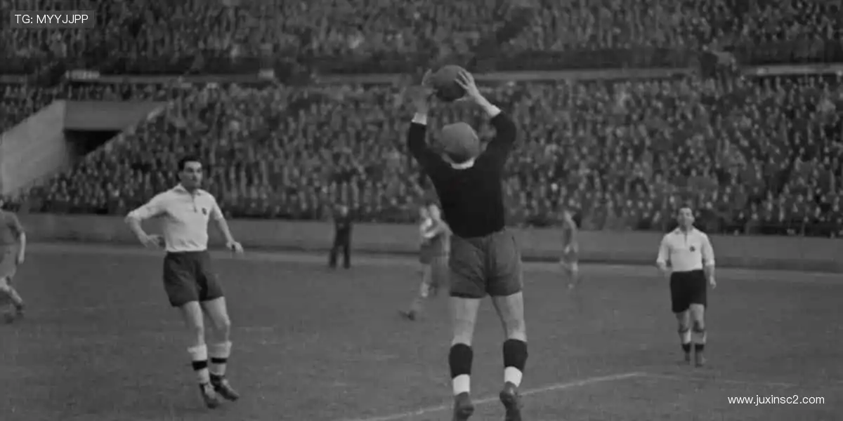 🛒周边好物,把热爱穿在身上、握在手里!🎁